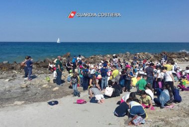 Liberate due tartarughe curate a Calimera