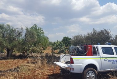 Fiamme fra gli ulivi in Contrada Lo Vita