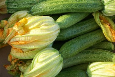 Millefoglie di zucchine