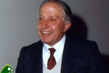 'Diverse voci fanno dolci note. Il Dante di Aldo Vallone'