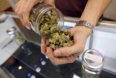 "Emiliano si occupi della cannabis terapeutica"