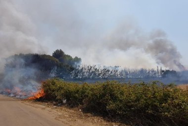 Incendio di notevoli dimensioni brucia in zona Duca