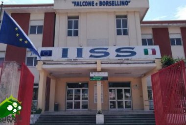 Un regolamento per superare la sovrapposizione fra istruzione professionale e tecnica