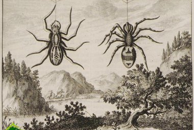  La mostra "Il veleno della devozione" sarà visitabile a Galatina per tutta l'estate