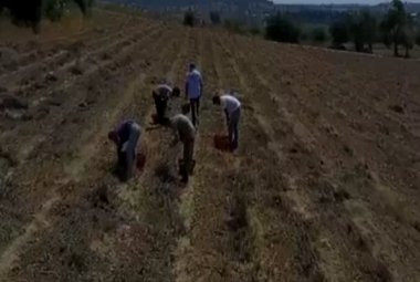 Contrasto al caporalato, controllate due aziende agricole a Nardò