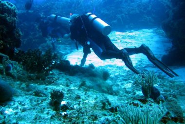 Ad Otranto i campionati italiani di fotografia subacquea