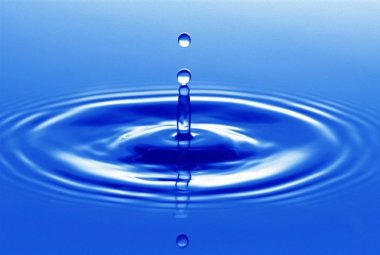 Incontri e concerti per il festival dell'acqua