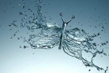 “Water Shapes”, apre la mostra dedicata all’Acqua e al legame tra Natura e Arte