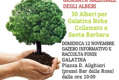 Trenta alberi per Galatina e frazioni