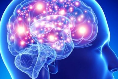 Le reti del nostro cervello