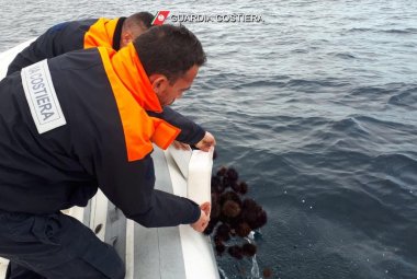 Ispezioni e multe della Guardia Costiera a tutela del mare
