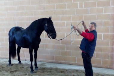 Il campione è 'Libero' 