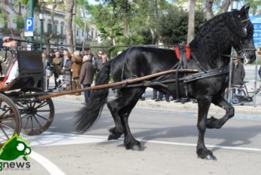 Nel giorno dell'Immacolata la 'Fiera del Bestiame di Santa Caterina d’Alessandria'