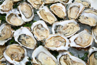 Mangia ostriche crude e muore divorata dal "batterio mangiacarne"