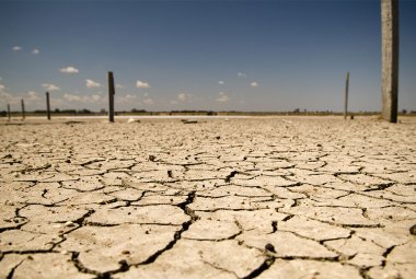 Puglia verso la desertificazione