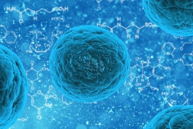 La luce per misurare le proprietà meccaniche e chimiche di cellule viventi e tessuti
