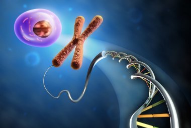 Excavator2, un nuovo algoritmo per scoprire le anomalie del DNA dovute al cancro