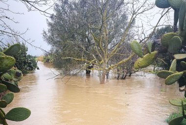 "Si faccia la manutenzione del Canale dell’Asso"