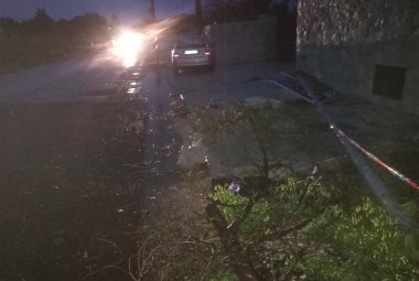 Un grosso pino cade sulla via per Collemeto ed abbatte un palo della pubblica illuminazione