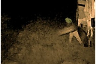 Le fototrappole immortalano uno sporcaccione in azione, punito
