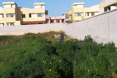 'Ponte Picaleo'. Puntuali con la primavera tornano i disagi