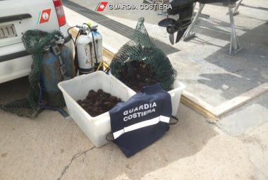 Quattromila euro di multa ai raccoglitori di 1300 ricci di mare