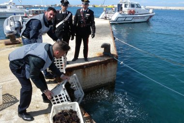 Vendeva ricci senza bollo sanitario, 2000 euro di multa