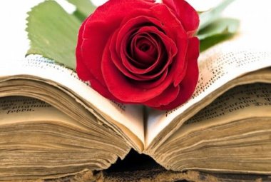 Una rosa per un libro
