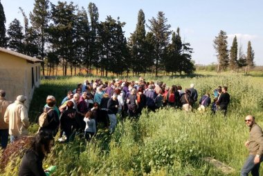 Saper distinguere il grano dallo "scioju"