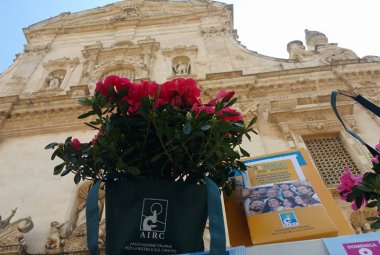 Oggi e domani in piazza l'azalea della ricerca contro il cancro