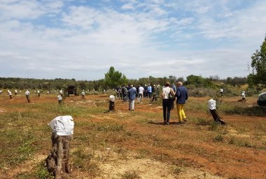 Xylella, "la Puglia non può essere lasciata sola"