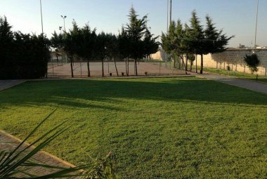 Una lettera aperta a Marcello Amante e Maria Giaccari per avere notizie sui rapporti con il Comune di  "Noha Calcio" e "Atletico Noha"