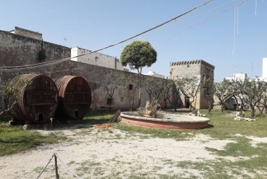 "La Civetta dal Cuore Amico"