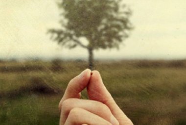 "Come un granellino di senapa"