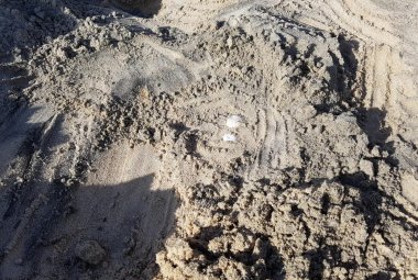 A Torre Chianca fa il nido una Caretta Caretta