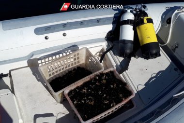 Quattromila euro di multa per avere raccolto più di 50 ricci di mare