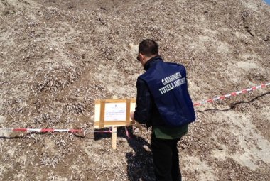 Sequestrati 25000 metri cubi di alghe e rifiuti. Si indaga sul comune di Lecce