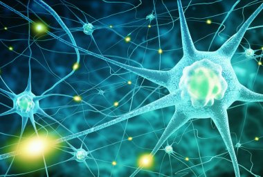 Dalla ricerca Unisalento una nuova tecnica per lo studio delle nanoparticelle metalliche inglobate nelle cellule