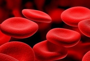 I globuli rossi piccole lenti per scoprire le anemie