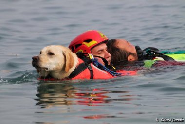 Simulazione di salvataggio in mare con i cani
