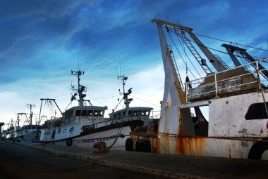 Finito il fermo pesca in Adriatico, torna sui mercati il pesce fresco