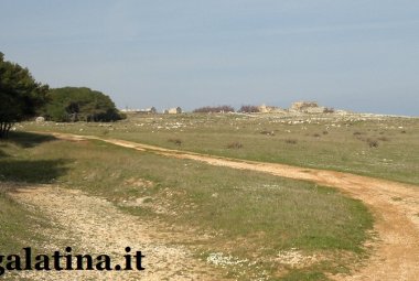 Molti lo sgridavano per farlo tacere