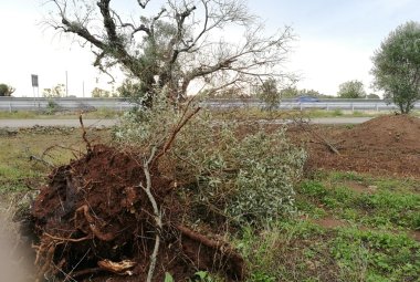 Pericolo a Collemeto, una tromba d'aria sfiora l'abitato