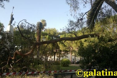 Forte vento, il Sindaco di Galatina invita alla prudenza