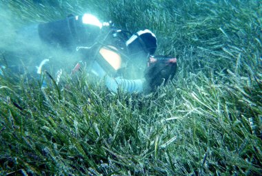 L'anidride carbonica in atmosfera farà cambiare le spiagge