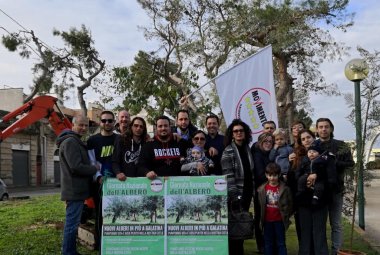 Giornata dell'albero. Piantumate a Galatina 50 piante
