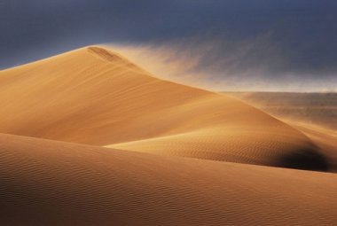 Voce di uno che grida nel deserto
