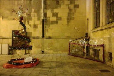 Il nostro "Albero della Pace"