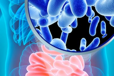 C'è un rapporto diretto tra fibrosi cistica e alterazione del microbiota intestinale