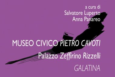 "Sollecitazioni" al Museo Cavoti